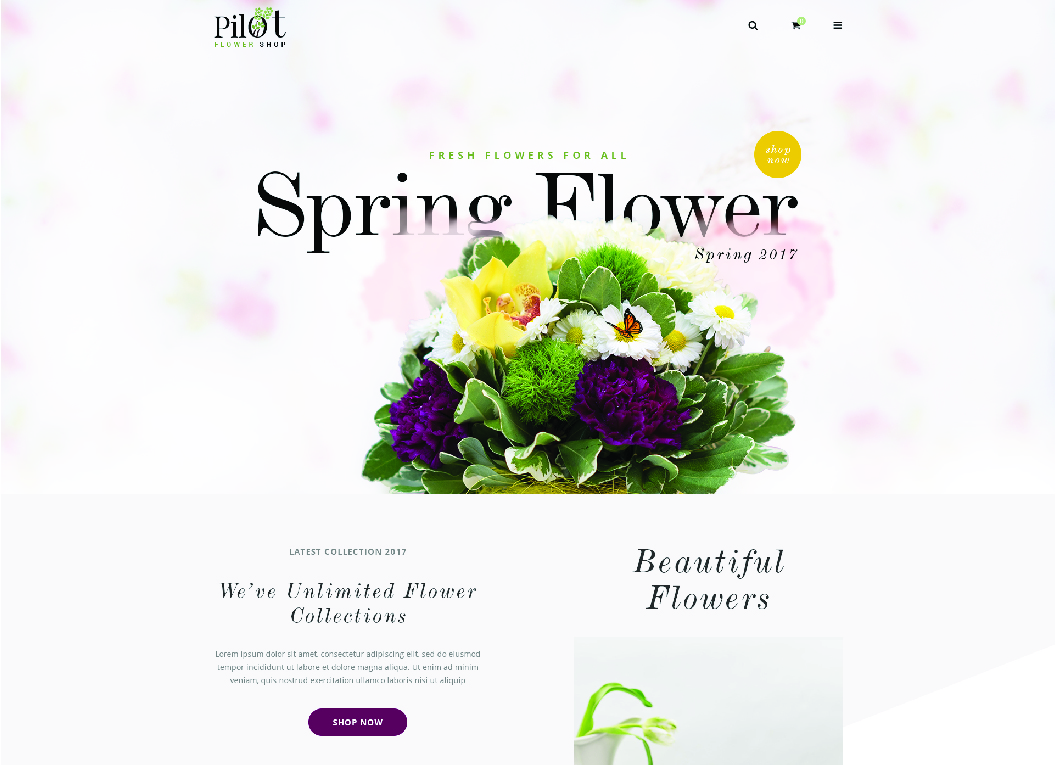 Dynamic Website Designing Company Ahmedabad