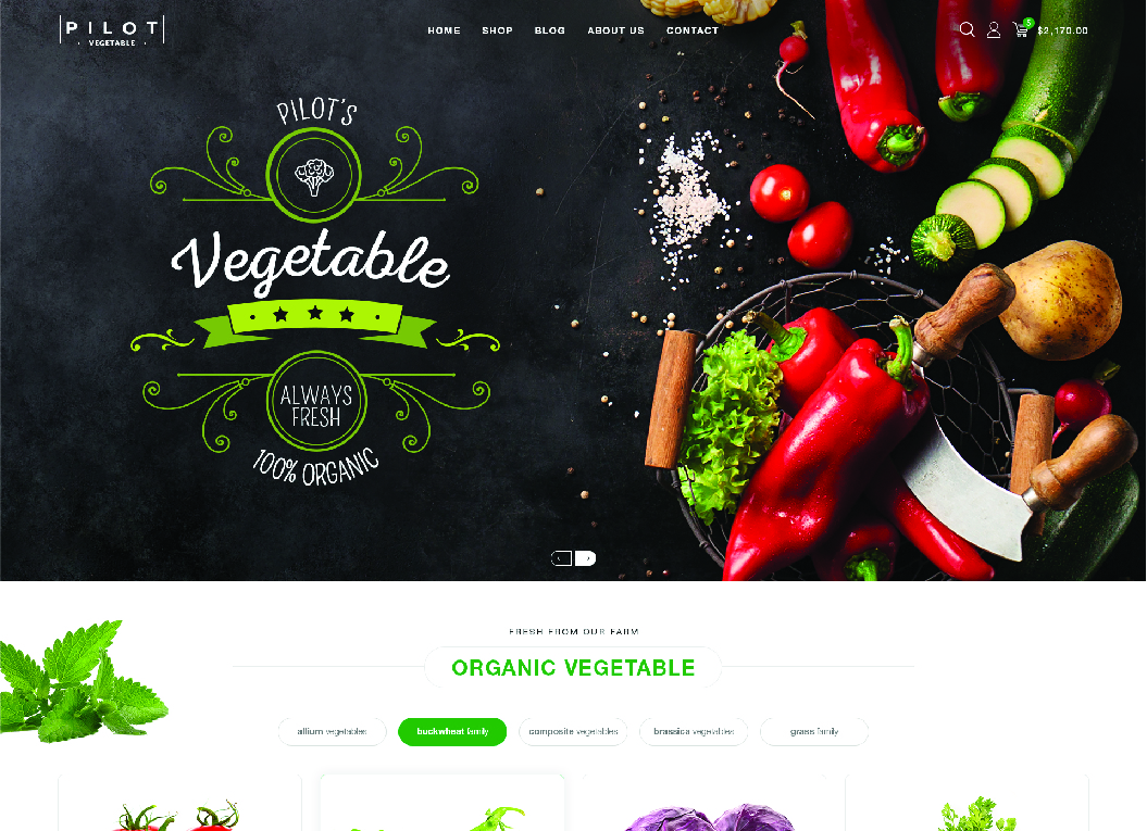 Re Design Website Design in Ahmedabad